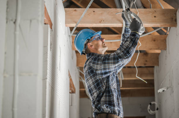 Best Local Electrician Companies  in Griswold, IA